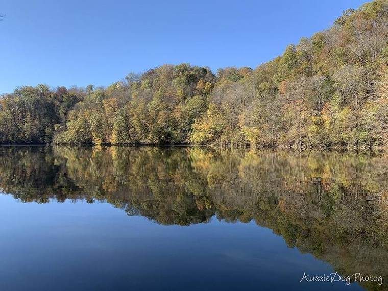 A calm lake surrounded by wooded hillsides, viewed from its shoreline within Standing Stone State Park.