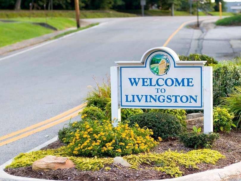 Welcome to Livingston sign surrounded by yellow and green plants along a road.