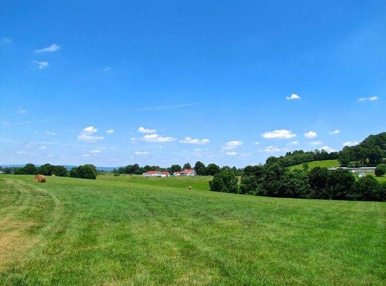 Open agricultural fields with tree lines and rolling terrain