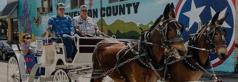 mules pulling carriage