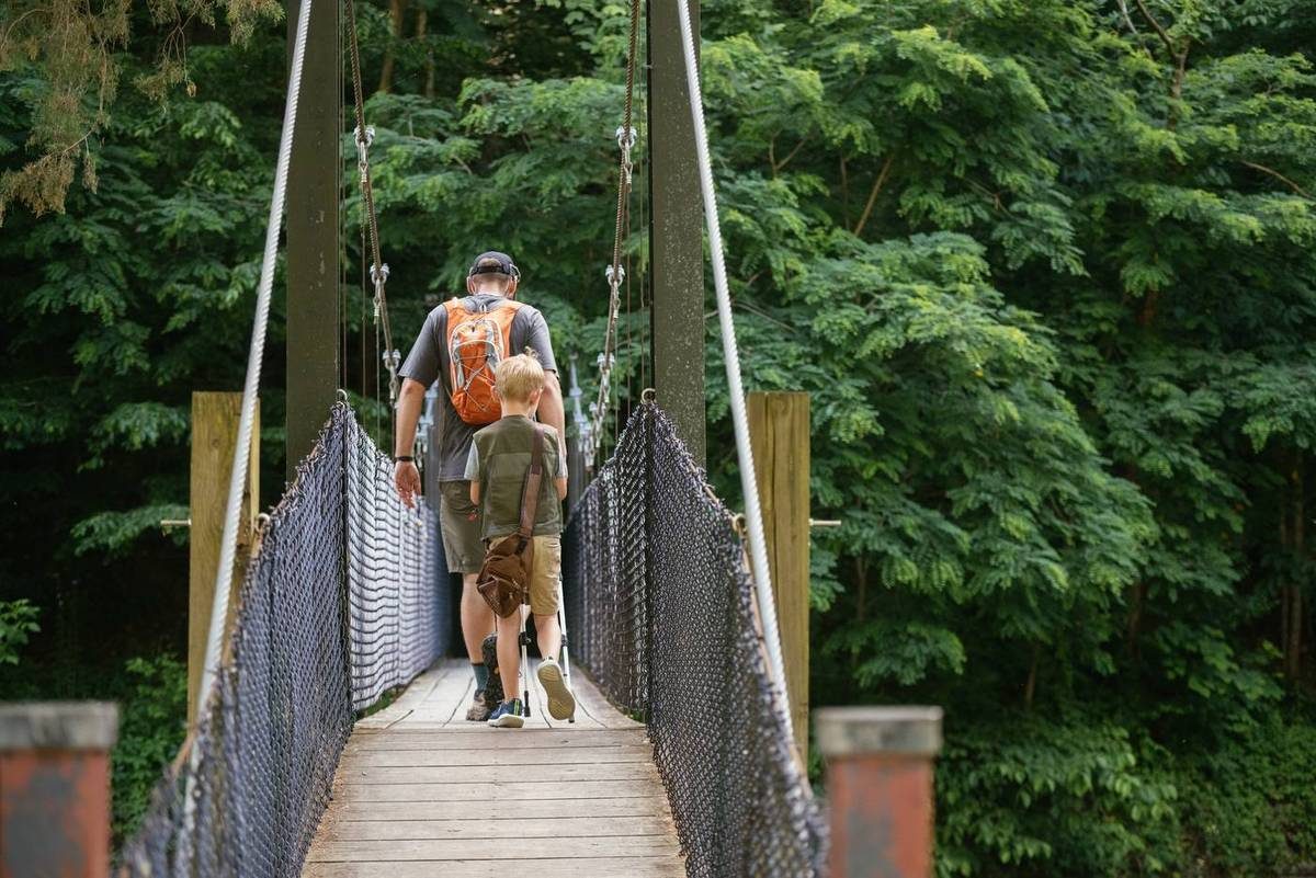 A man and a boy walk across a suspension bridge in a green forest, with the boy holding onto the bridge's handrails.