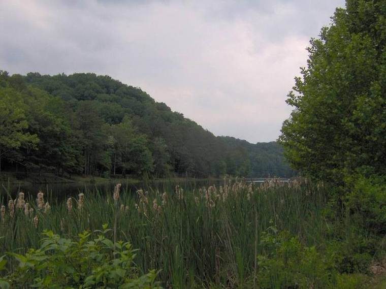 Standing Stone Lake viewed from the Overton Lodge, looking northwest, at Standing Stone State Park