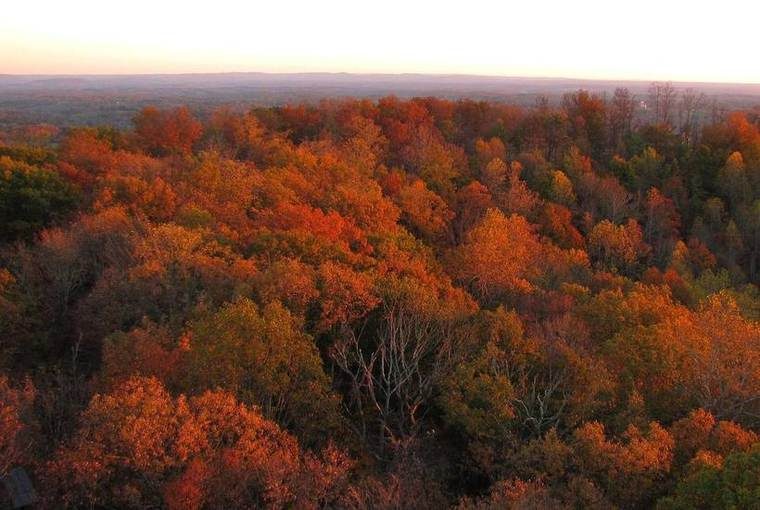 Southward autumn forest vista from the Goodpasture Mountain fire tower, Standing Stone State Park, Overton County, TN